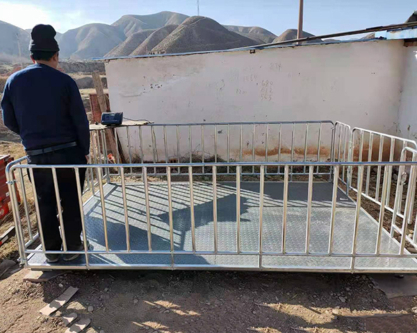 帶圍欄畜牧稱價(jià)格  畜牧稱供應(yīng)