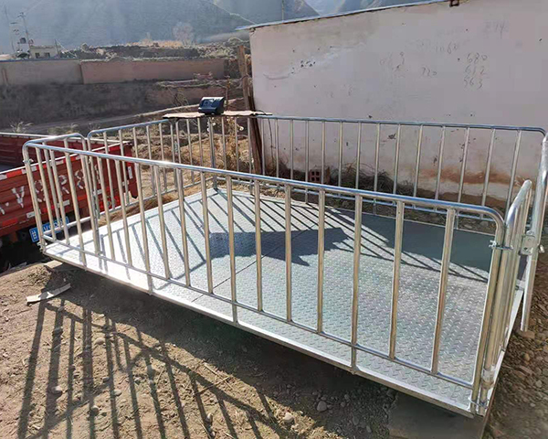 帶圍欄畜牧稱價(jià)格  畜牧稱供應(yīng)