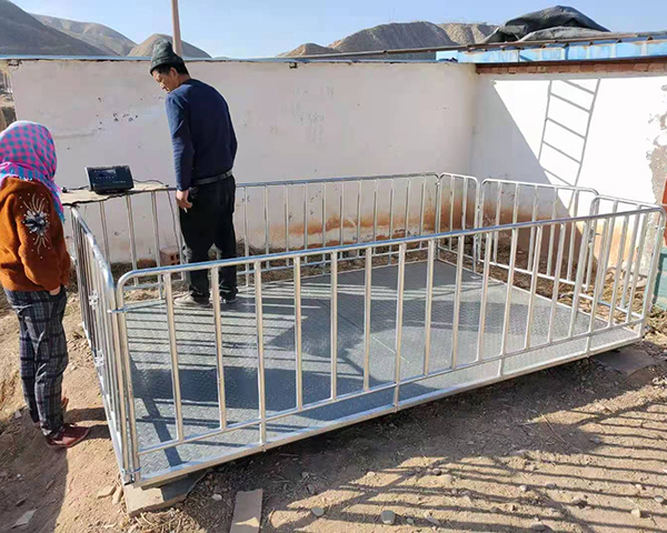 帶圍欄畜牧稱價(jià)格  畜牧稱供應(yīng)