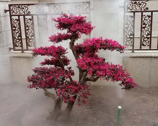 霧森系統(tǒng)價格、三門峽霧森報價